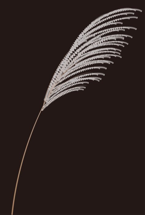 Poster Halm von Ziergras auf schwarzem Hintergrund