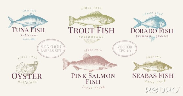 Poster Hand gezeichnete Fische und Meeresfrüchteletiketten stellten in Retrostil ein. Vektor-Logo-Vorlagen. Etiketten können für Restaurant-Menü Fischgeschäft Markt verwendet werden.