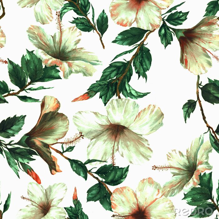 Poster Handgezeichnete Aquarell floral nahtlose Muster mit dem zarten weißen Hibiskus Blumen auf dem weißen Hintergrund im Vintage-Stil. Natürlicher tropischer und vibrierender wiederholter Druck für Textil,