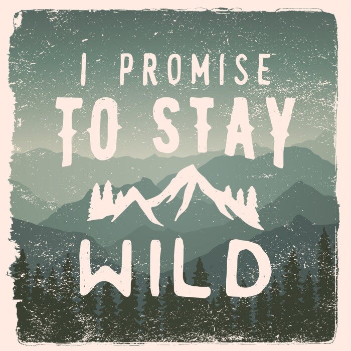 Poster Handgezeichnete wilderness, Erforschungzitat. Ich verspreche, wild zu bleiben