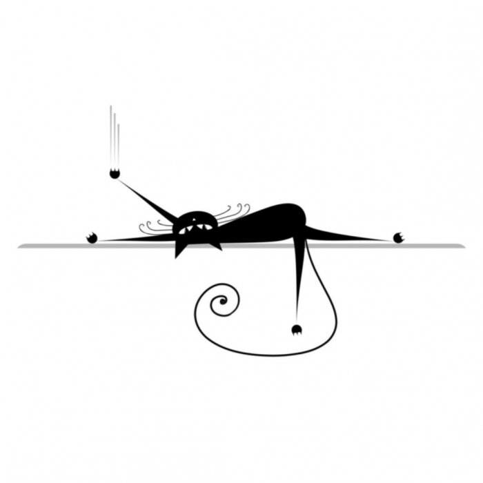 Poster Haustier gestreckte Katze