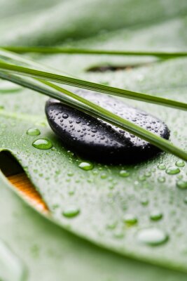 Heilende Kraft der Natur