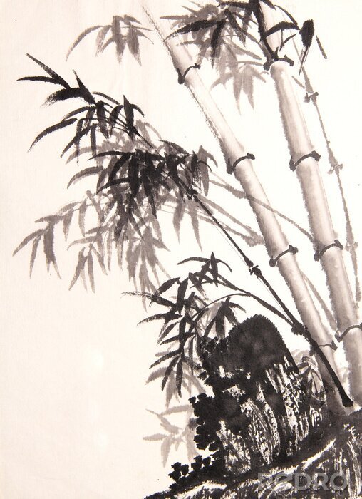 Poster Heller Bambus mit dunklen Zweigen