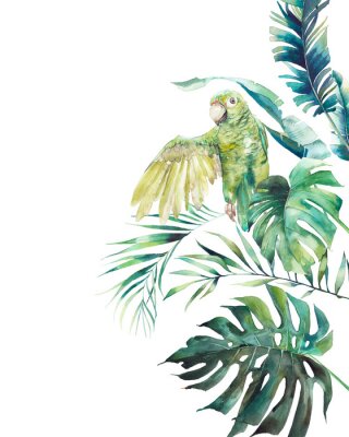 Poster Heller Dschungel mit Papagei