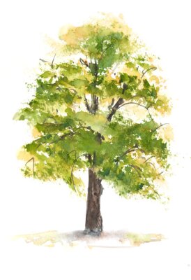 Poster Hellgrüner Baum Aquarell-Illustration
