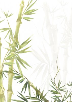 Poster Hellgrüner illustrierter Bambus