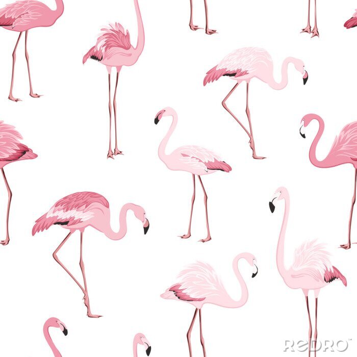 Poster Hellrosa Flamingos auf einem Motiv mit blauem Hintergrund