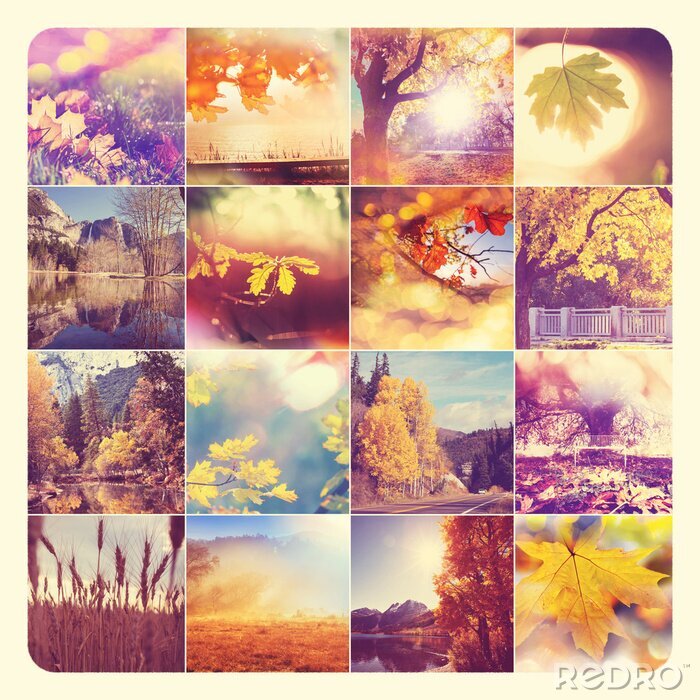 Poster Herbst-Collage der Natur