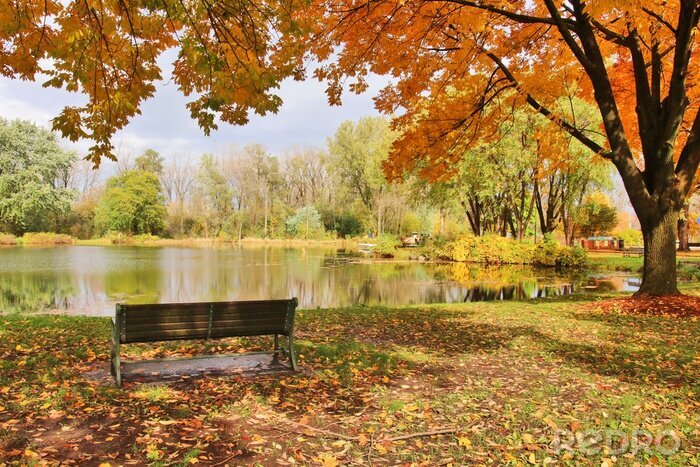 Poster Herbstfarben an einem kleinen Teich
