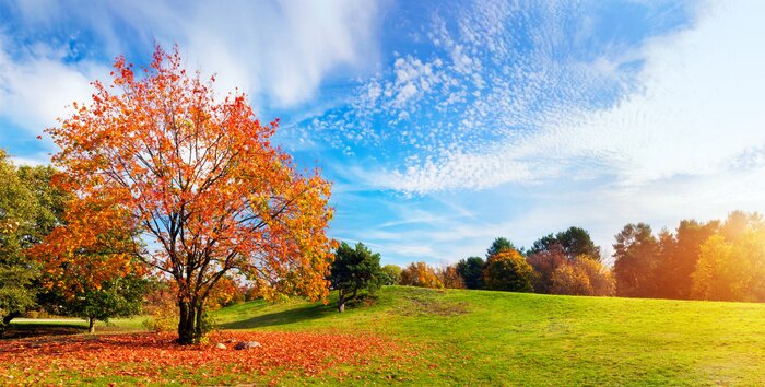 Poster Herbstfarben an einem sonnigen Tag