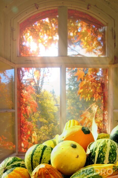 Poster Herbstgemüse und Sonnenschein