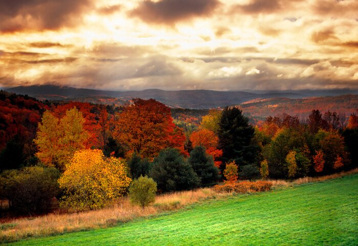 Poster Herbstlandschaft mit Bäumen