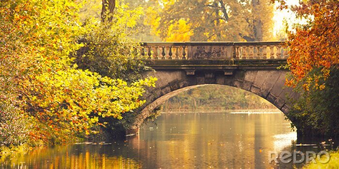 Poster Herbstlandschaft mit einer Brücke