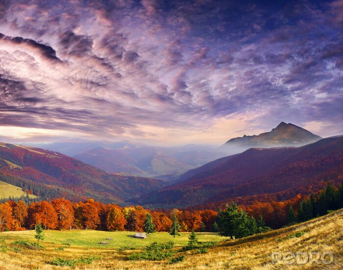 Poster Herbstliche Natur auf der Landschaft
