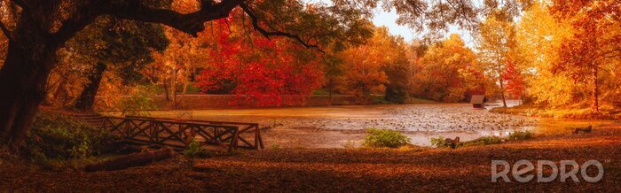 Poster Herbstpanorama mit einer Holzbrücke