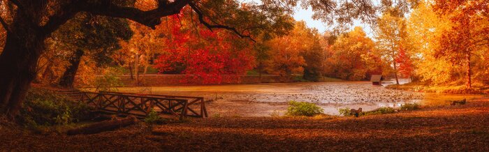 Poster Herbstpanorama mit einer Holzbrücke