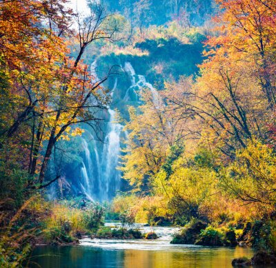 Herbstwald und Wasserfall