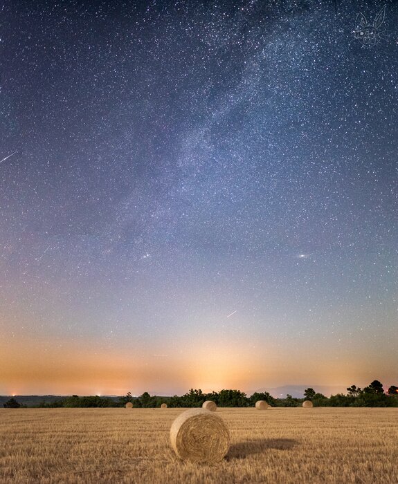 Poster Herbstwiese und Sternenhimmel