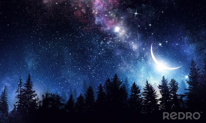 Poster Himmel mit Mond und Sternen über einem Wald