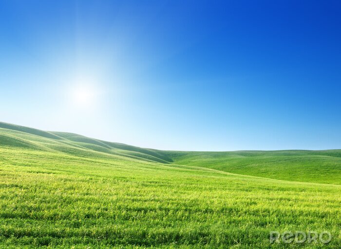 Poster Himmel, Sonne und Gras