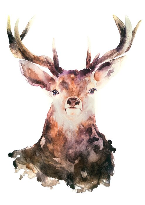 Poster Hirsch auf weißem Hintergrund