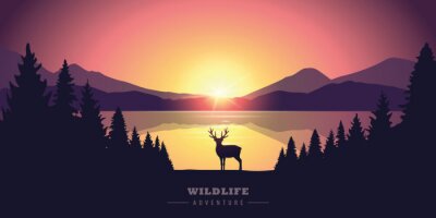 Poster Hirsch vor dem Hintergrund des Sonnenuntergangs