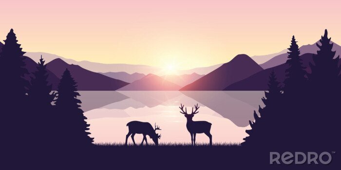 Poster Hirsche in der aufgehenden Sonne
