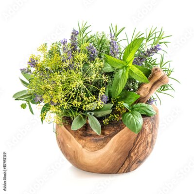 Poster Holzmörser mit aromatischen Kräutern und Gewürzen
