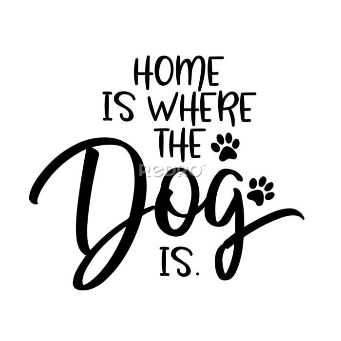 Poster Home is where the dog is. - funny hand drawn vector saying with cat mustache. 