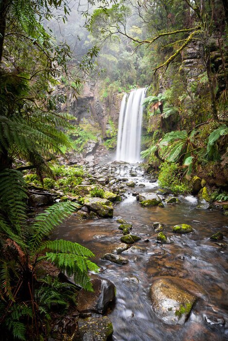 Poster Hopetoun Falls, a secluded waterfall in the Otway Ranges, Australia