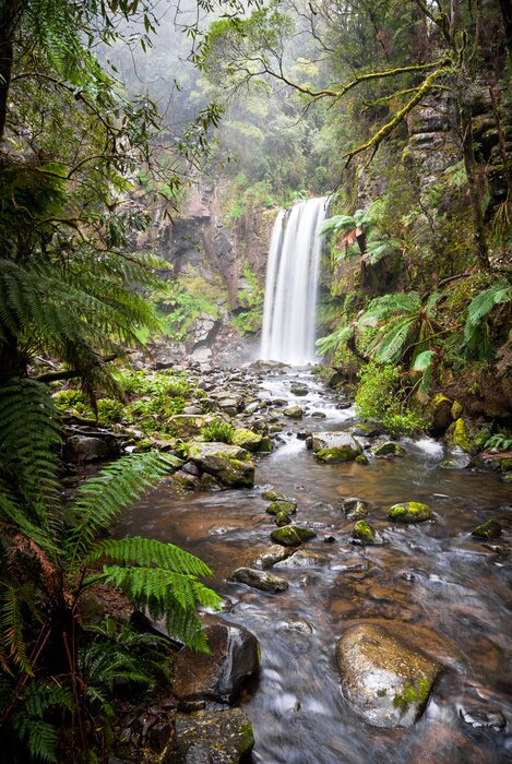 Poster Hopetoun Falls, a secluded waterfall in the Otway Ranges, Australia