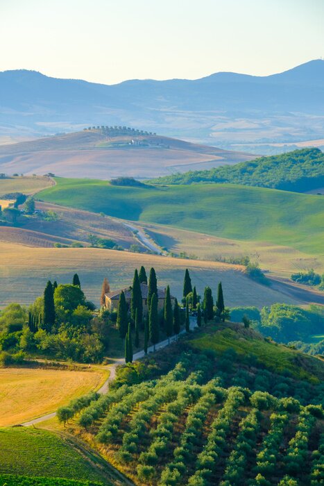 Poster Hügel der Toskana im Sommer