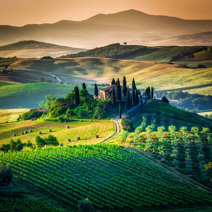 Poster Hügel von Toskana