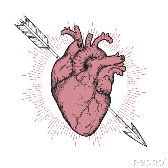 Poster Human heart pierced with cherubs arrow hand drawn line art and dotwork. Flash tattoo or print design vector illustration.