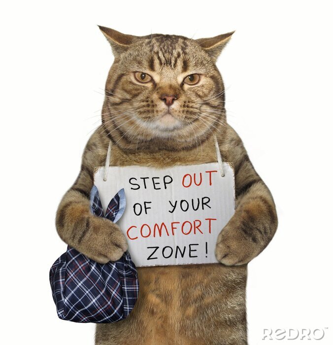 Poster Humorvoller Slogan mit einer Katze
