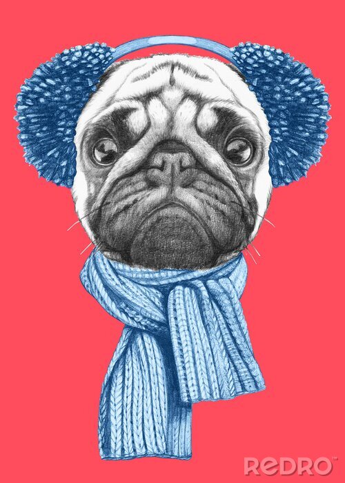 Poster Hund im Scandi-Schal