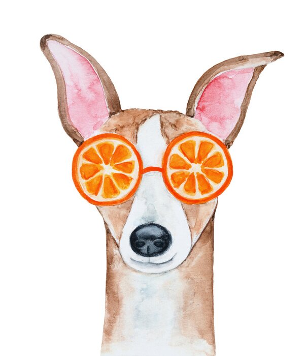 Poster Hund in Fruchtgläsern