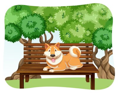Poster Hund sitzt auf einer Bank