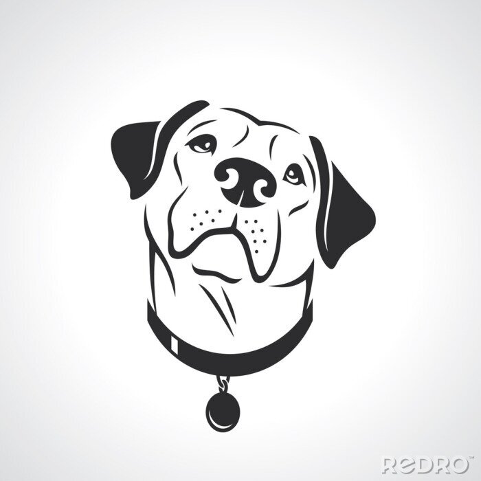 Poster Hunde Labrador Kopf und schwarzer Halsband mit Anhänger