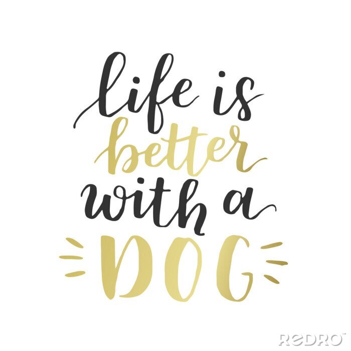 Poster Hundeannahme handgeschriebene Beschriftung. Brush Schriftzug Zitat über den Hund Das Leben ist besser mit einem Hund. Vector motivational Sprichwort mit schwarzen und goldenen Tinte auf weißem hinterg