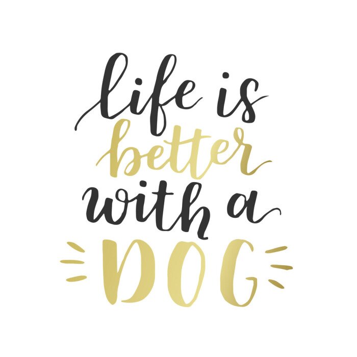 Poster Hundeannahme handgeschriebene Beschriftung. Brush Schriftzug Zitat über den Hund Das Leben ist besser mit einem Hund. Vector motivational Sprichwort mit schwarzen und goldenen Tinte auf weißem hinterg