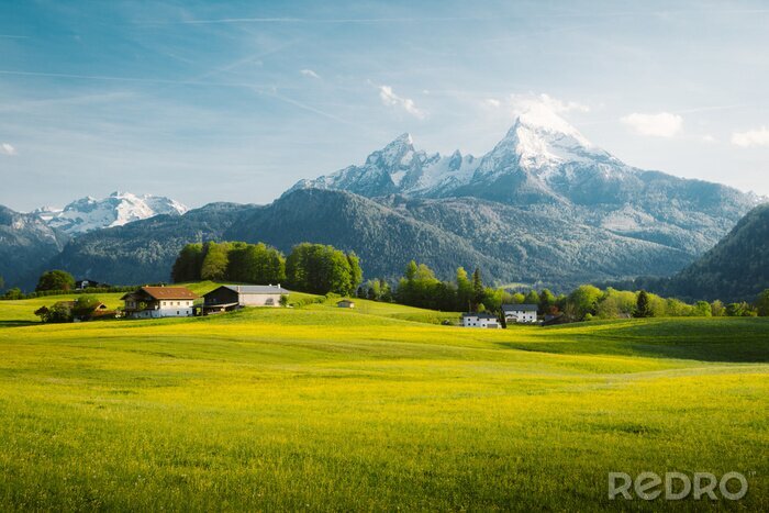 Poster Idyllische alpine Landschaft im Sommer