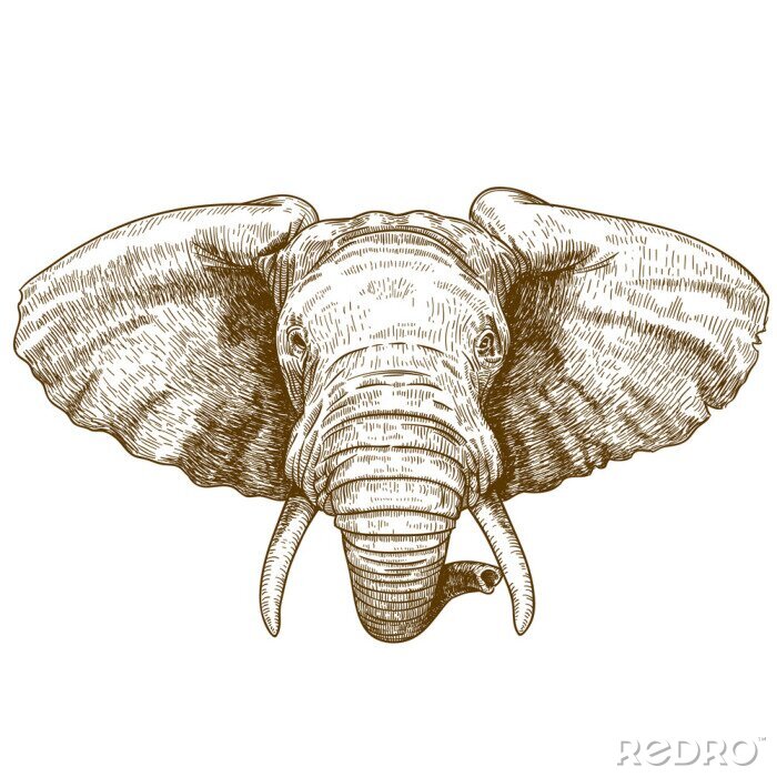 Poster Illustration eines Elefanten in Sepia