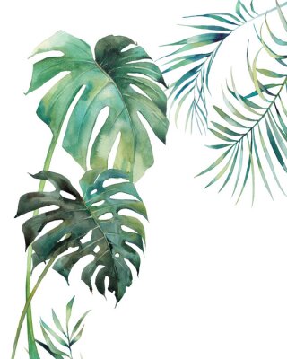In Aquarell gemalte Dschungelpflanzen