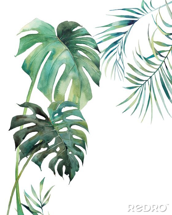 Poster In Aquarell gemalte Dschungelpflanzen