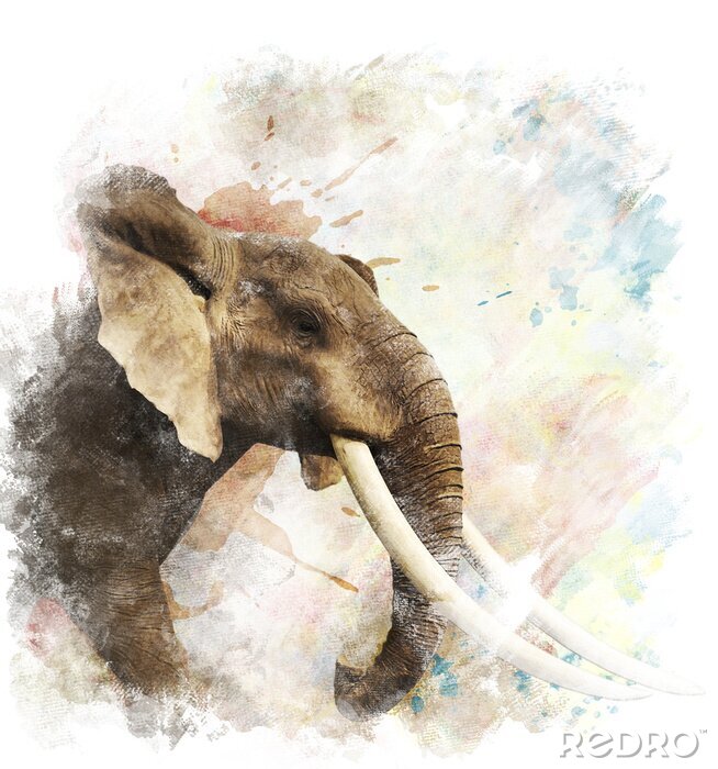 Poster In Aquarellfarbe gemaltes Elefantenbild