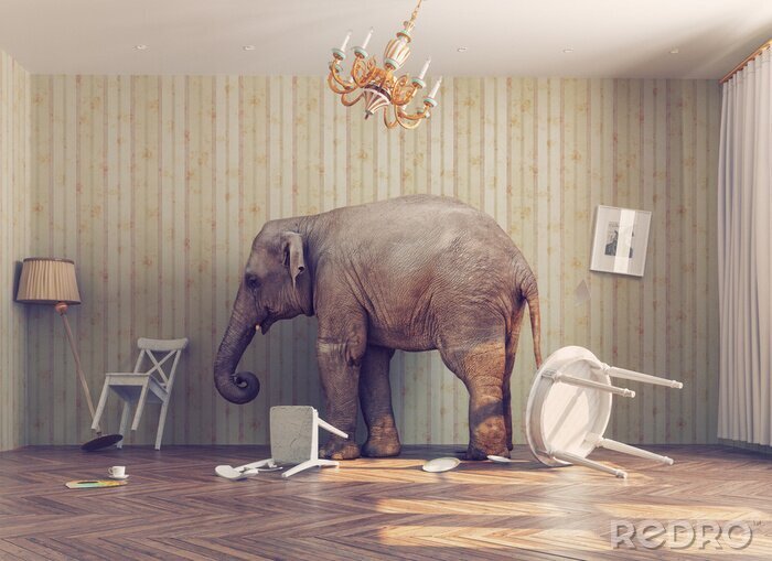 Poster Indischer Elefant im Zimmer