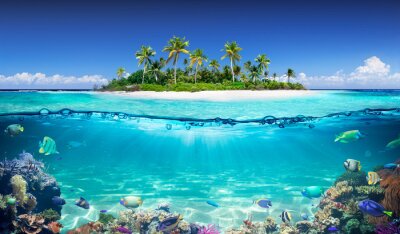 Insel Ozean und Korallenriff