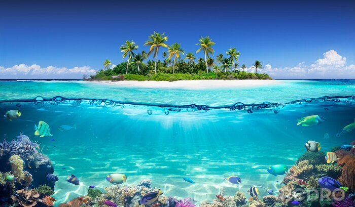 Poster Insel Ozean und Korallenriff