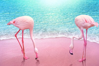 Intensives muster mit flamingos